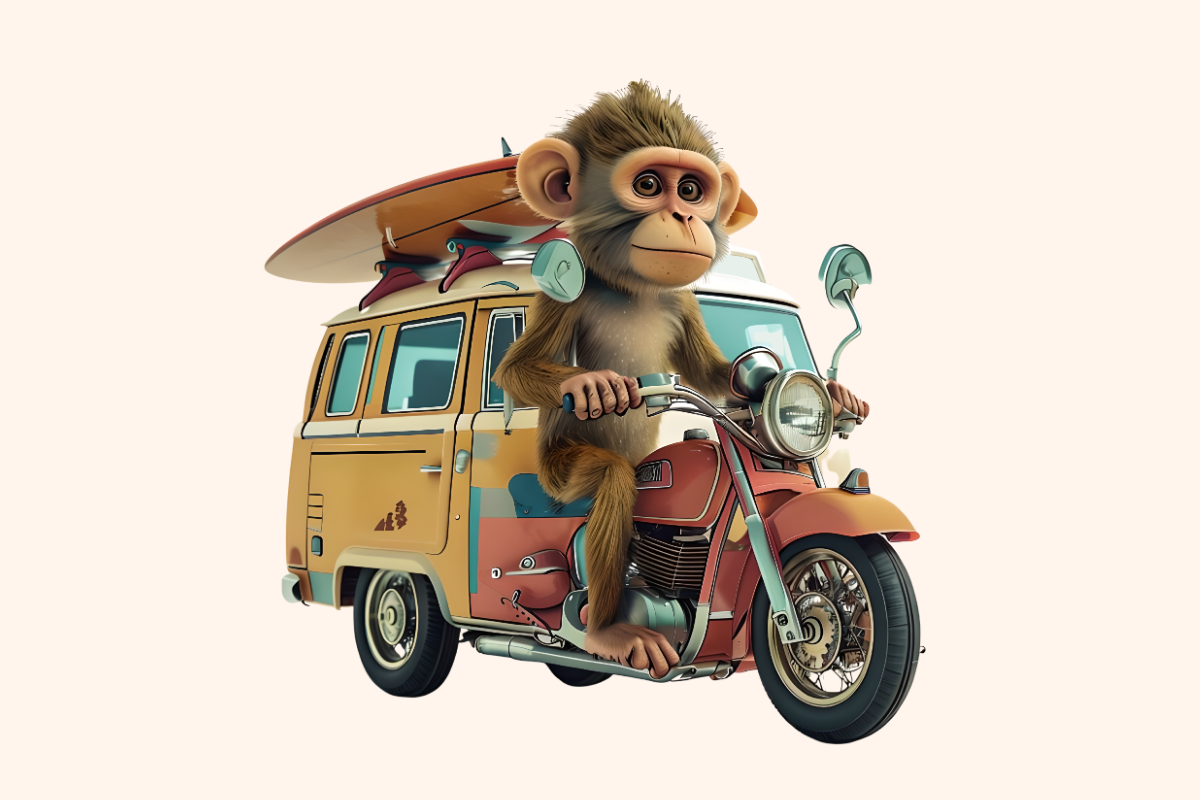 Monkey Road Trip Rider Design