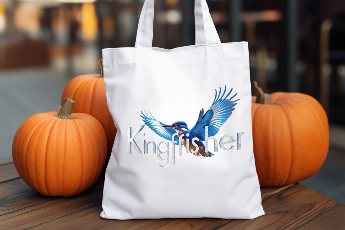 Beautiful Kingfisher Clipart