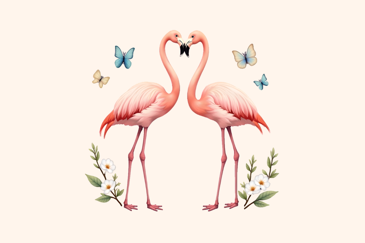 Flamingo Couple Love Butterfly Clipart