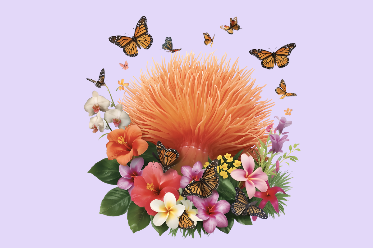 Actinia Ocean Floral Bloom Design