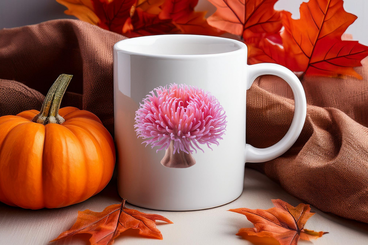 Actinia Ocean Pink Anemone