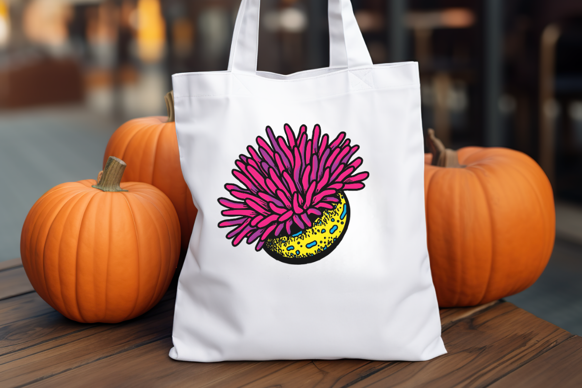 Actinia Ocean Pop Anemone